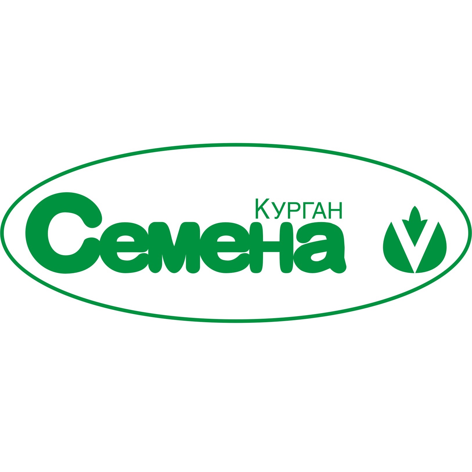 Курган Семена